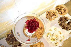 HEATHER CHRISTO BOOK LAUNCH